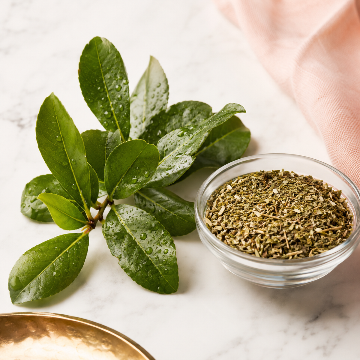 Yerba Mate