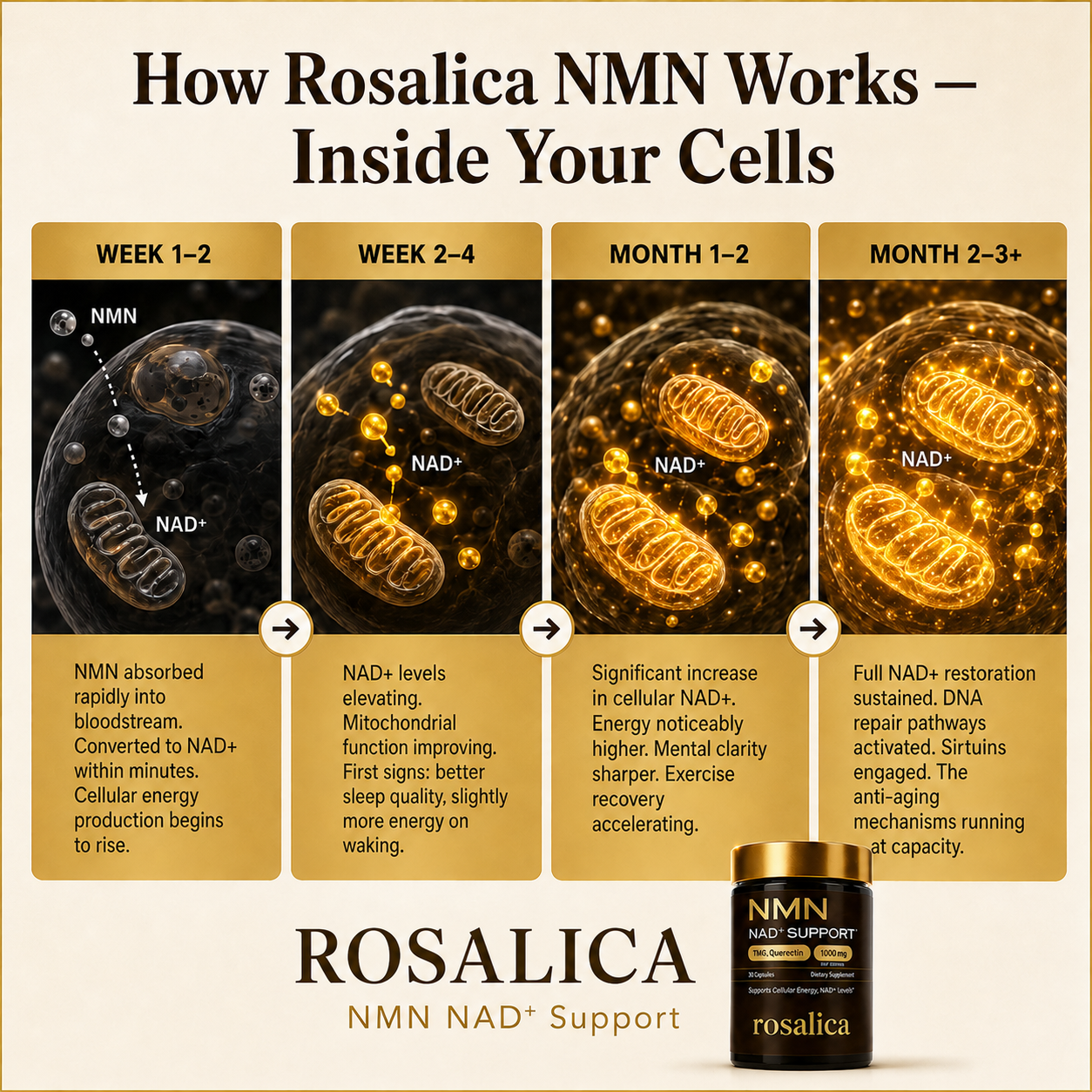 Rosalica™ NMN 1000mg — The Longevity Supplement. Feel It In 30 Days.