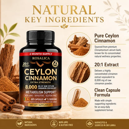ROSALICA Ceylon Cinnamon 20:1 Extract | 8,000 mg Equivalent | 60 Capsules