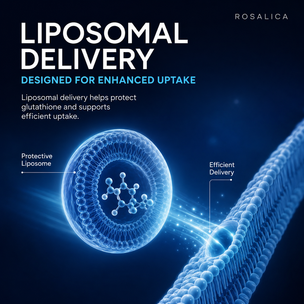 Rosalica Liposomal Glutathione Complex