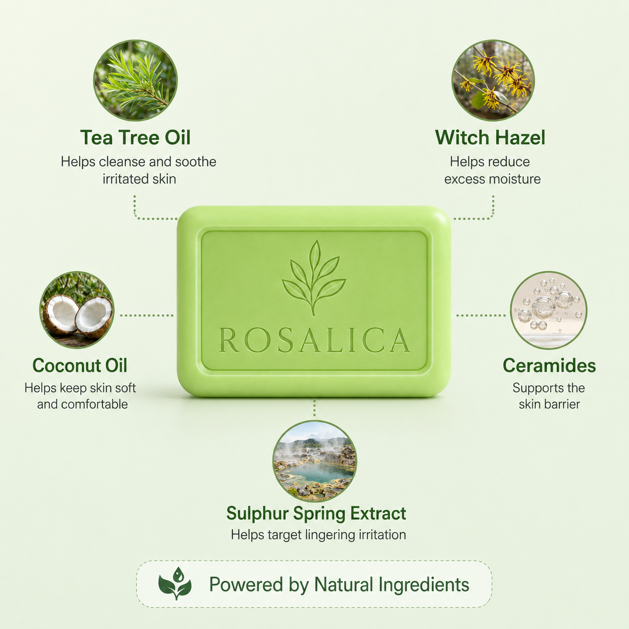Rosalica Tea Tree Antifungal Soap