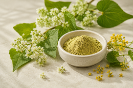 Rutin Extract